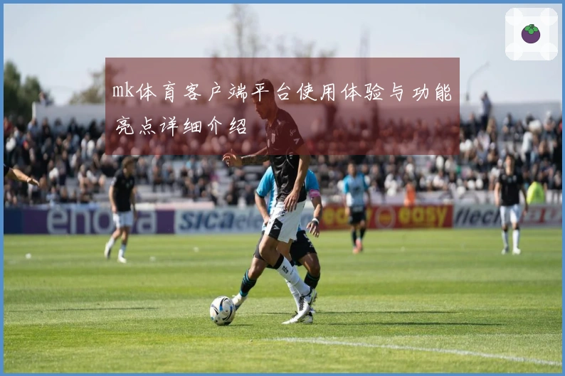 mk体育客户端平台使用体验与功能亮点详细介绍